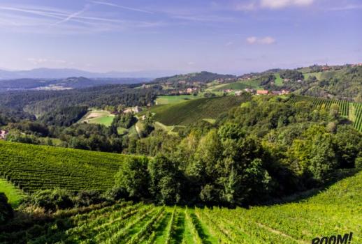 Forvandler græsarealer til et vin- og ferieparadis