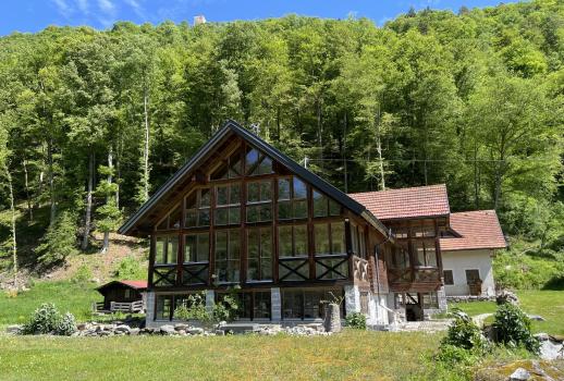 Maison de campagne unique sur le Danube