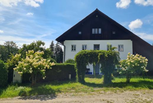 Landsdröm i ett idylliskt grönt läge