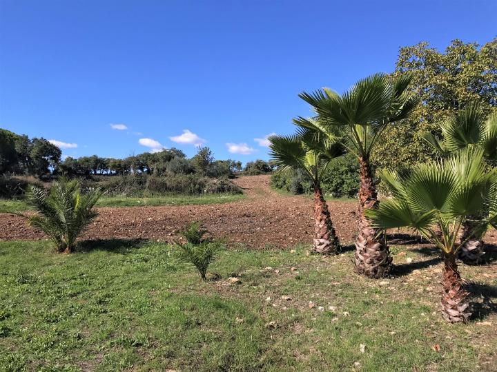 Maison de campagne rénové avec piscine